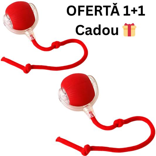 Minge Interactivă cu Șnur pentru Câini și Pisici